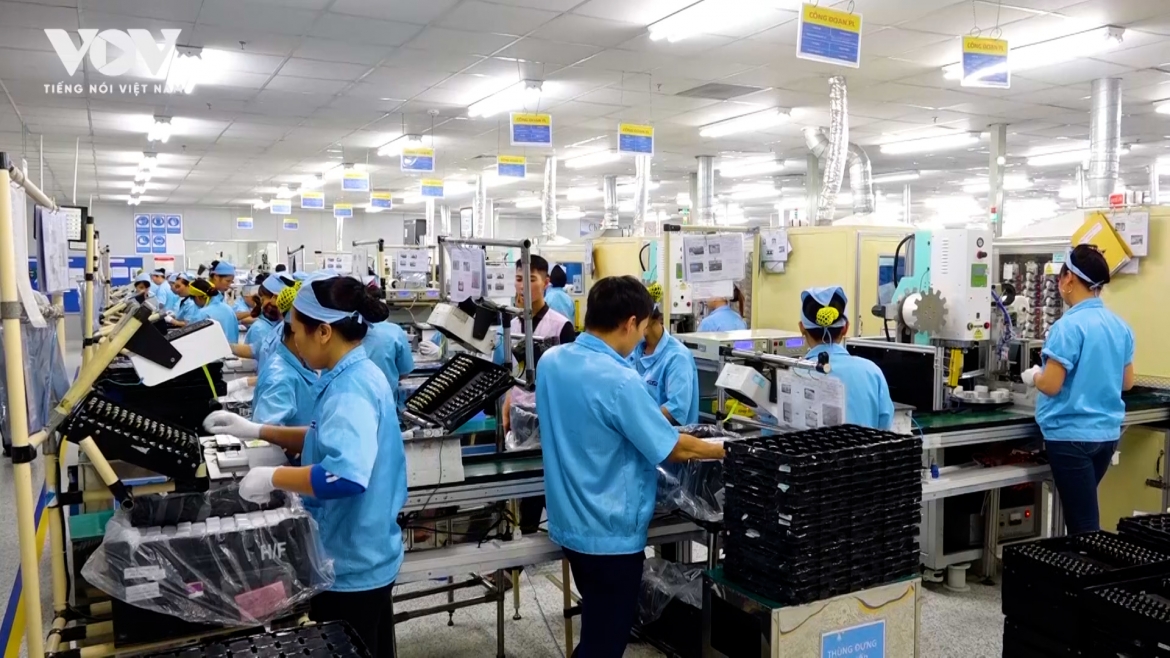 DNNVV không thể tự “lớn lên và mạnh khỏe” nếu thiếu đi sự đồng hành, chia sẻ của Nhà nước