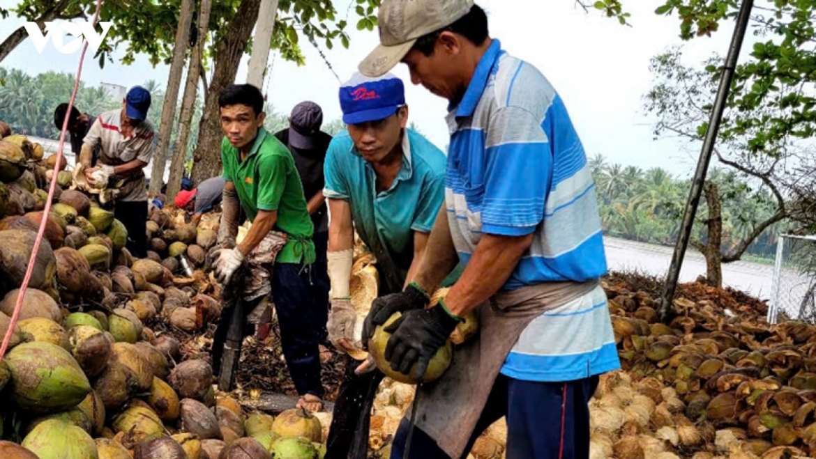 Các sản phẩm từ trái dừa xuất khẩu ra nhiều nước trên thế giới