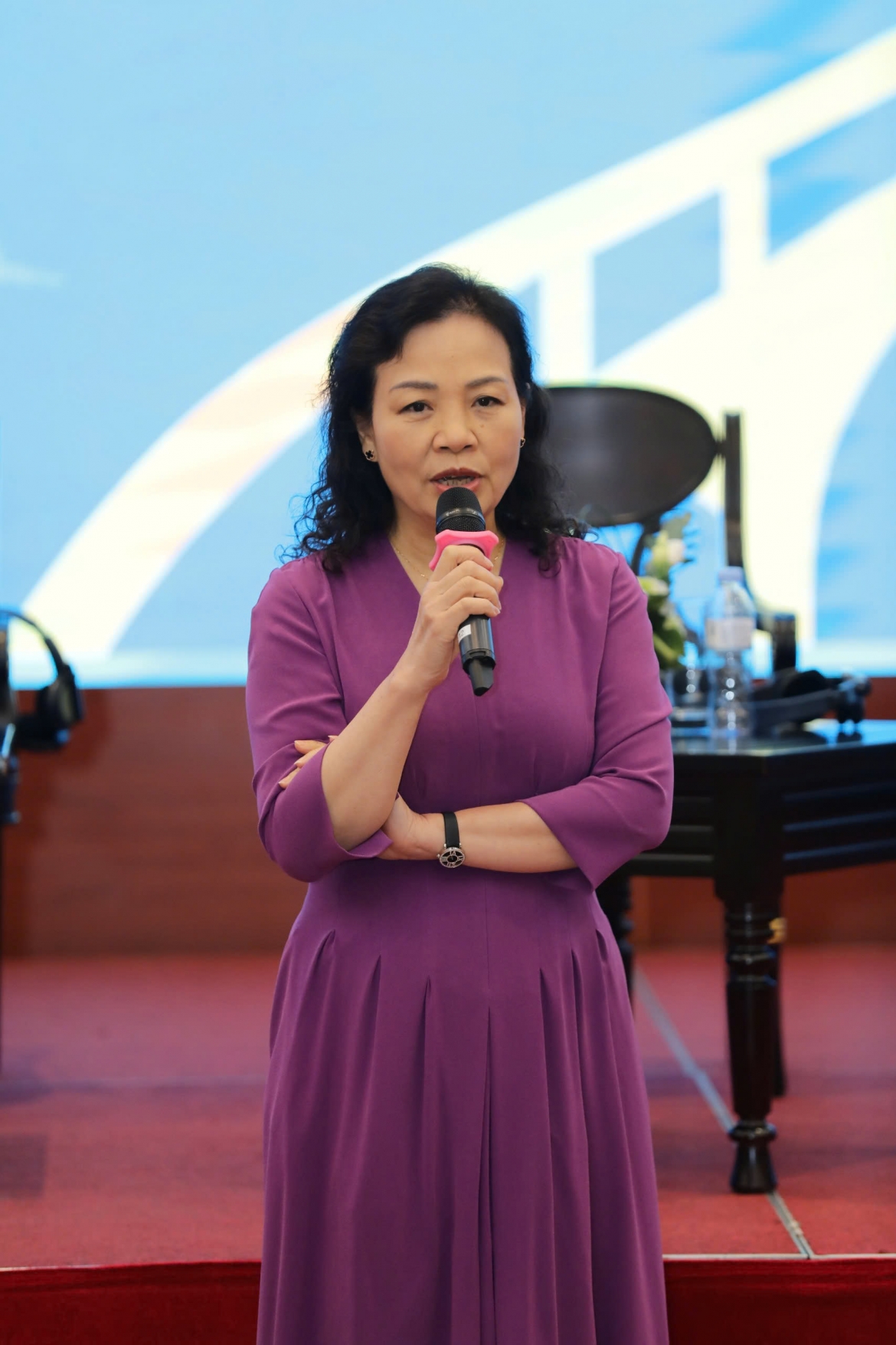 TS. Ngô Phương Lan, Chủ tịch Hiệp hội Xúc tiến phát triển Điện ảnh Việt Nam