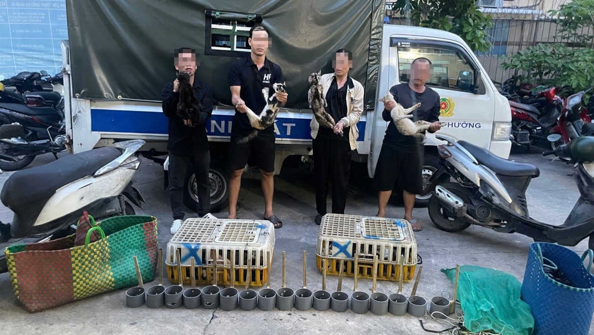 Công an xác định nhóm người này đã hoạt động bẫy bắt, thu gom mèo trên nhiều địa bàn trong khoảng 3 năm qua. (Ảnh: CACC)
