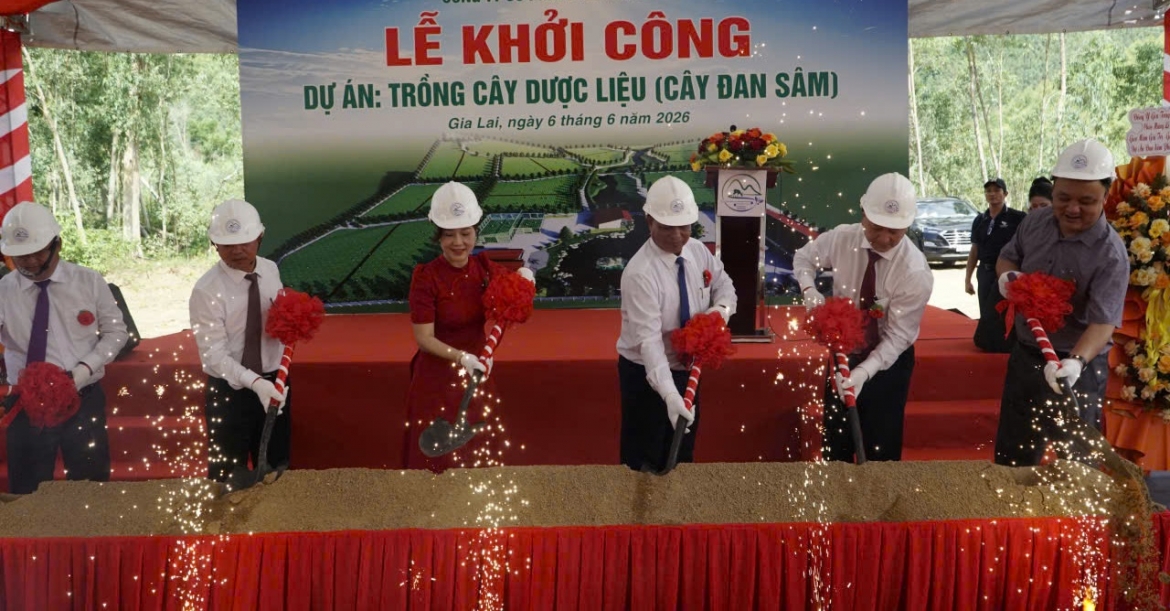Khởi công dự án trồng Đan Sâm tại xã Vĩnh Thạnh, tỉnh Gia Lai