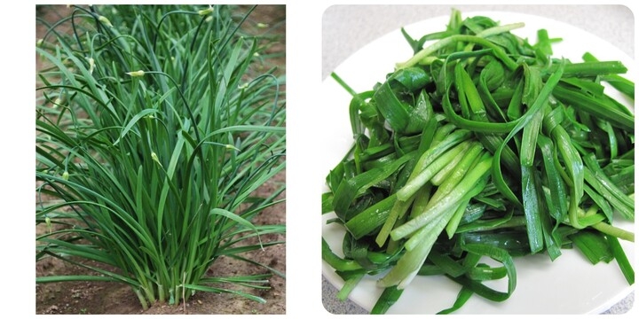 Rau hẹ là một vị thuốc với vô vàn công dụng đối với sức khỏe.