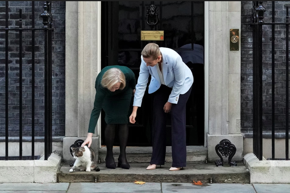 Thủ tướng Anh Liz Truss và người đồng cấp Đan Mạch Mette Frederiksen chào đón chú mèo Larry, tháng 10/2022.