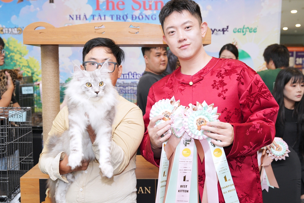 Mèo Maine Coon có giá khoảng 400-500 triệu đồng thi Hoa hậu mèo ở TP.HCM