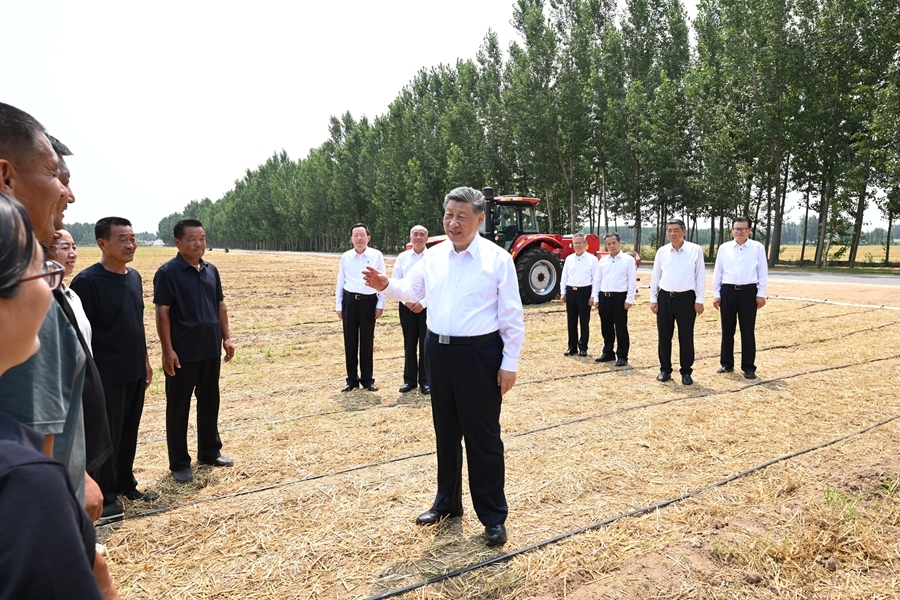Chủ tịch Trung Quốc Tập Cận Bình thị sát các cánh đồng trồng ngũ cốc tại quận Linh Thành, thành phố Đức Châu, tỉnh Sơn Đông. Ảnh: Tân Hoa Xã