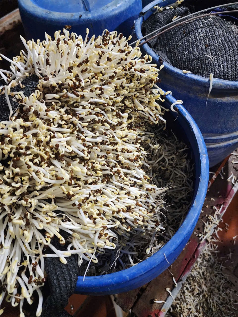 Tang vật vụ án