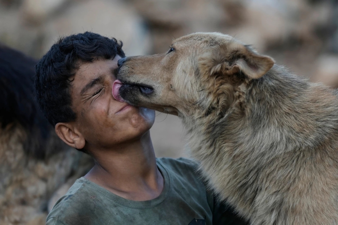 Cậu bé Bashar Hilal vui đùa cùng những chú chó bị bỏ rơi.