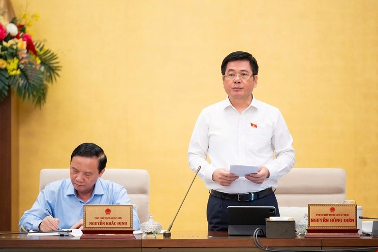 Phó Chủ tịch Quốc hội Nguyễn Hồng Diên phát biểu tại phiên họp