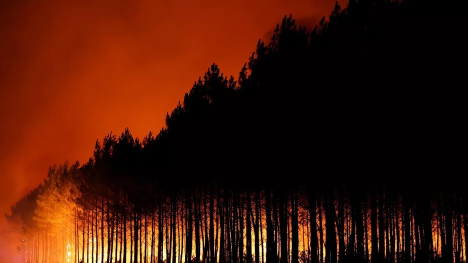 Đám cháy đang ở giai đoạn phát triển rất phức tạp và lan ra nhiều hướng. Ảnh: Reuters