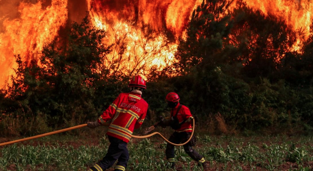 Cháy rừng tại châu Âu. Ảnh: Reuters