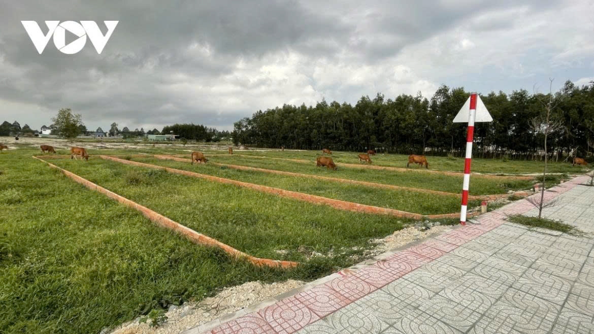 Tại cuộc họp về dự án Luật Đấu giá tài sản (sửa đổi), đa số ý kiến đề xuất điều chỉnh tăng mức đặt cọc đấu giá đất từ 10 - 50% lên mức 20 - 50%