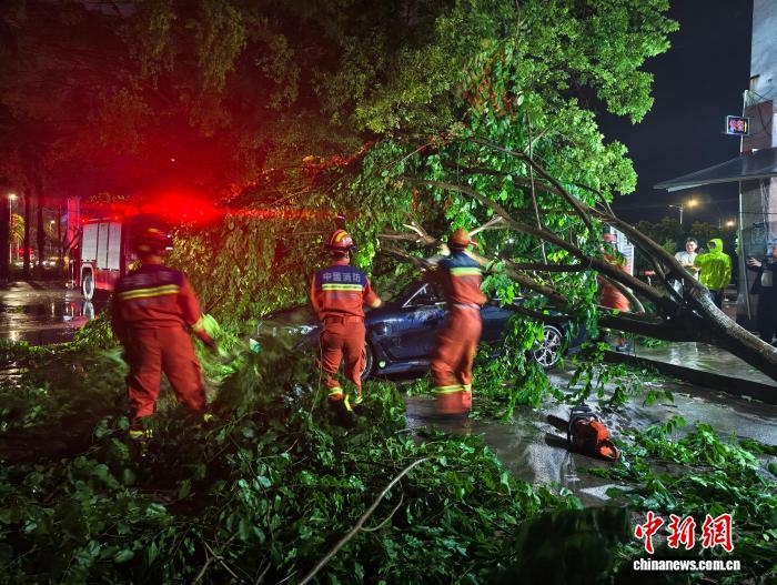 Cây đổ ở Vạn Ninh, Hải Nam tối ngày 3/7. Ảnh: China News