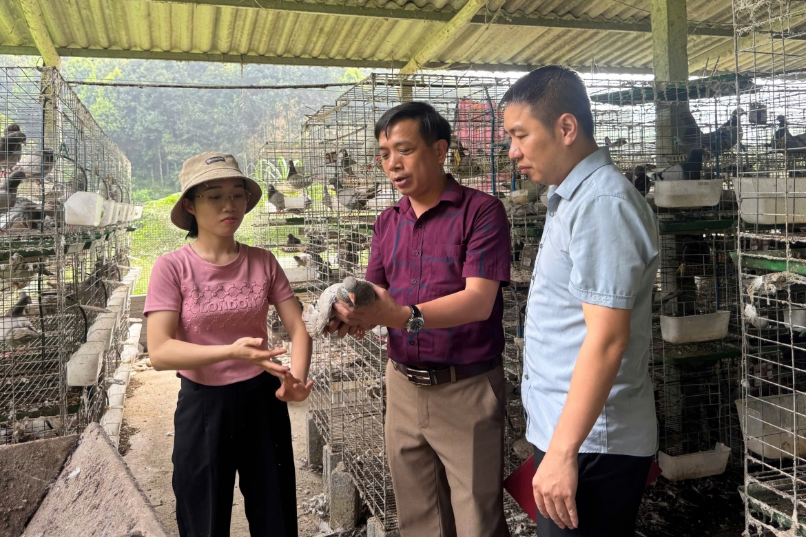 Đoàn công tác của Phòng đoàn thể và các hội, Ban Tuyên giáo và Dân vận Tỉnh ủy Lào Cai  khảo sát thực tế các mô hình “Dân vận khéo” tiêu biểu trên địa bàn xã Lương Thịnh. Ảnh tuyengiaodanvan.laocai