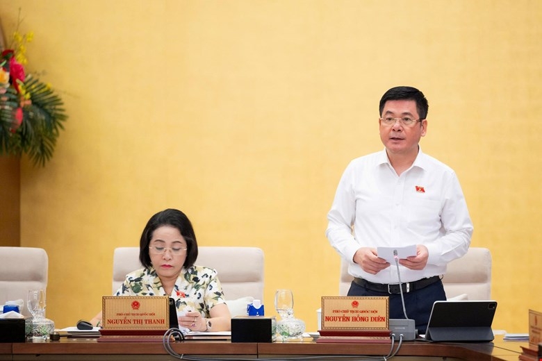 Phó Chủ tịch Quốc hội Nguyễn Hồng Diên phát biểu tại phiên họp.