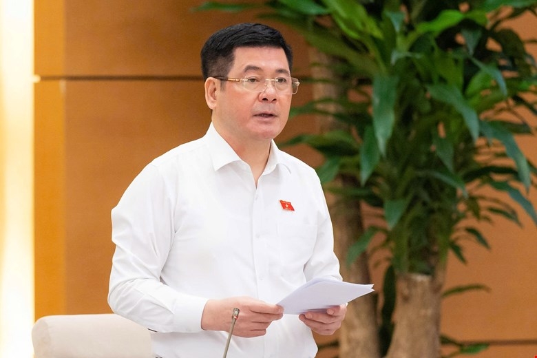 Phó Chủ tịch Quốc hội Nguyễn Hồng Diên phát biểu tại phiên họp.