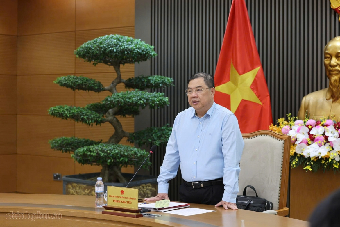 Phó Thủ tướng Thường trực Chính phủ Phạm Gia Túc phát biểu chỉ đạo (Ảnh: Phương Nguyên)
