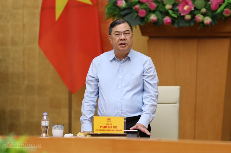 Phó Thủ tướng Thường trực Phạm Gia Túc cho rằng, công tác kiểm tra, hướng dẫn của Đoàn kiểm tra Ban Chỉ đạo 35 Trung ương góp phần giúp Đảng ủy Chính phủ và Ban Chỉ đạo 35 Đảng ủy Chính phủ tiếp tục thực hiện tốt hơn nhiệm vụ bảo vệ nền tảng tư tưởng của Đảng - Ảnh: VGP/Phương Nguyên