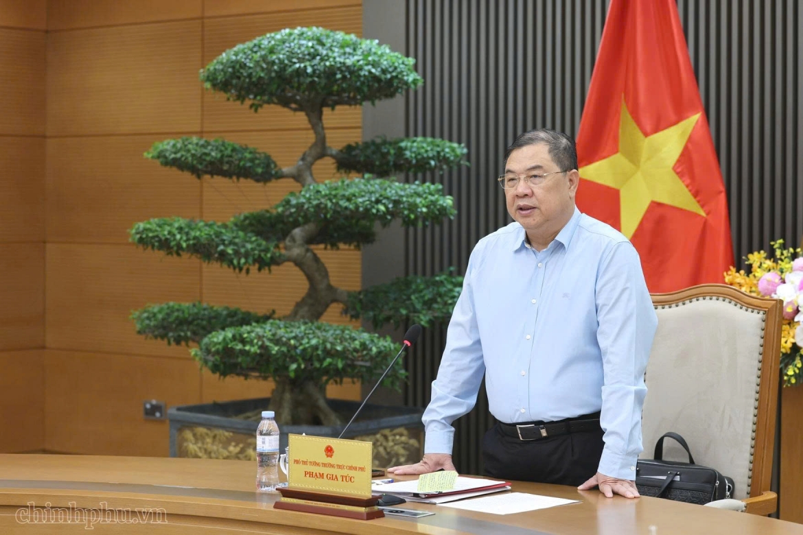 Phó Thủ tướng Thường trực Phạm Gia Túc phát biểu kết luận cuộc họp (Ảnh: PN)