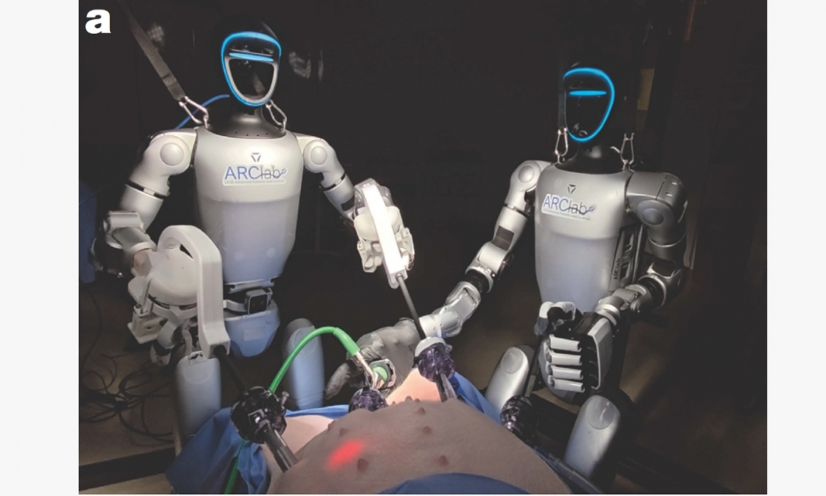 Robot hình người G1 của Unitree thực hiện phẫu thuật cắt túi mật nội soi trên lợn sống. Ảnh công bố trên tạp chí Nature