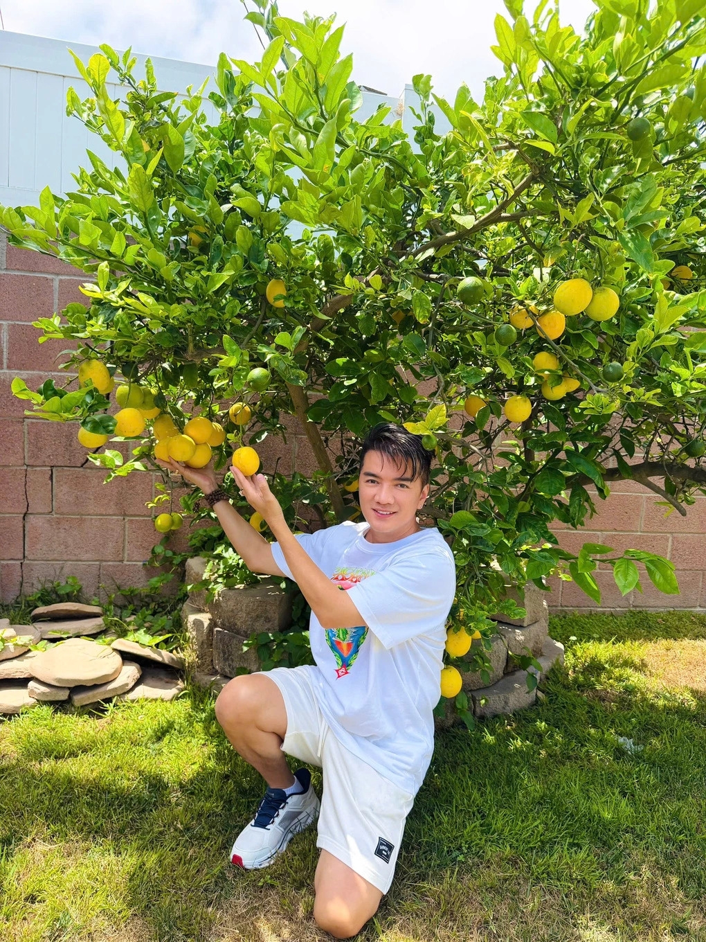 Bên cạnh cơ ngơi ở Việt Nam, Đàm Vĩnh Hưng còn có một biệt thự bề thế ở Huntington Beach, California. Ca sĩ Đàm Vĩnh Hưng phấn khích khi chanh, lựu, cam, táo... sai trĩu cành trong khuôn viên biệt thự tại Mỹ. Ảnh: FBNV