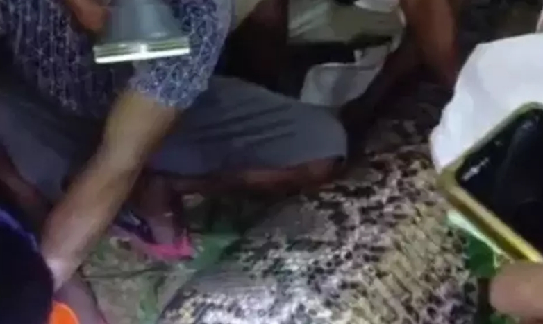 Người dân đang lấy thi thể nạn nhân trong bụng trăn về an táng.