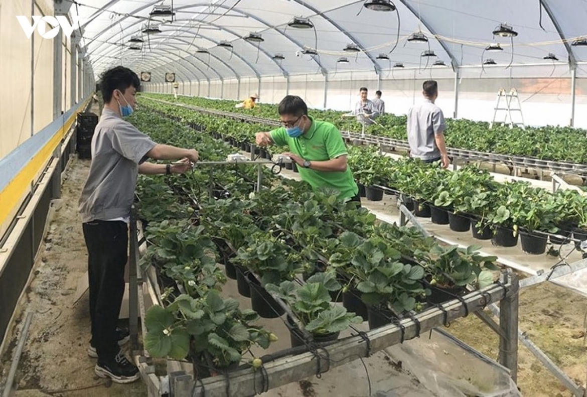 Khoảng cách từ nghiên cứu đến thương mại hóa vẫn là thách thức lớn đối với hoạt động đổi mới sáng tạo.