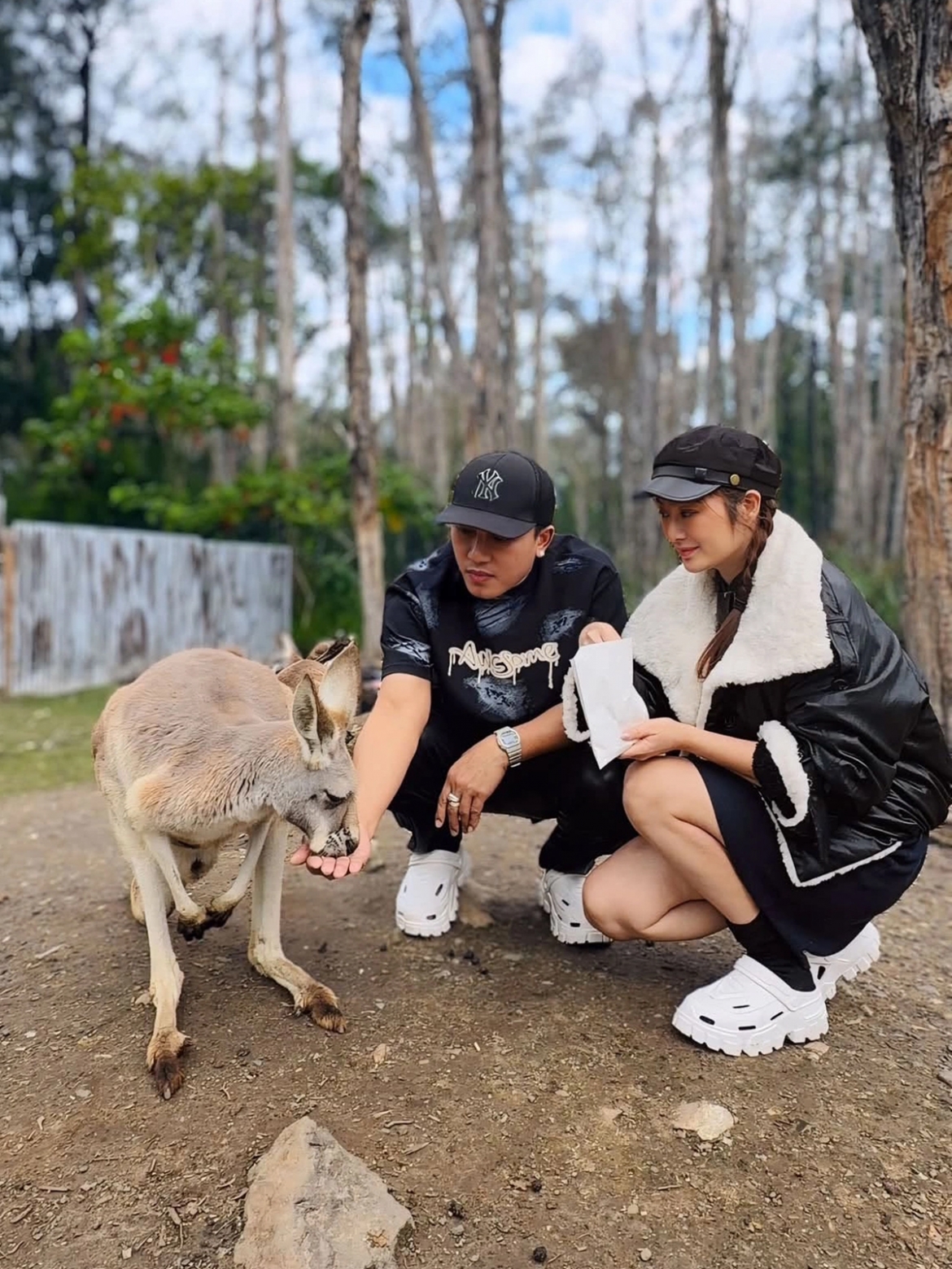 Vợ chồng Thanh Trúc - Châu Khải Phong trải nghiệm chơi cùng chuột túi khi đến Australia lưu diễn.