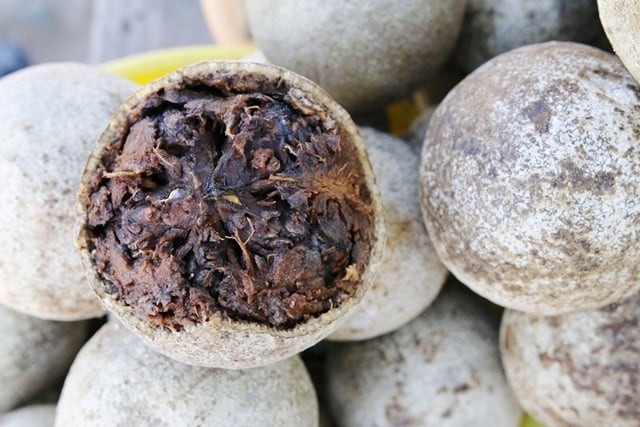 Trái quách nổi tiếng với những lợi ích tuyệt vời cho hệ tiêu hóa nhờ hàm lượng chất xơ cao.