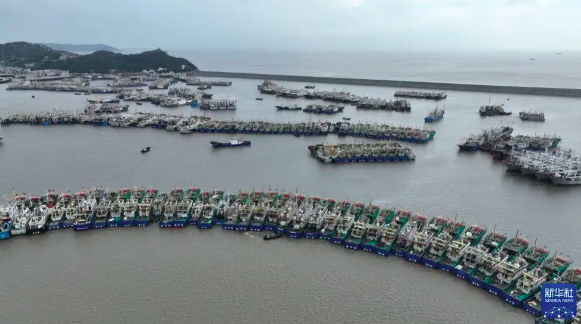 Ngày 5/8, tàu cá neo đậu tại một cảng cá ở thành phố Ôn Lĩnh, tỉnh Chiết Giang. Ảnh: Tân Hoa xã