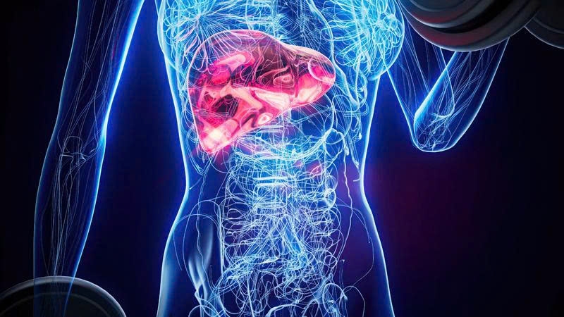 Khi chức năng gan suy giảm, da và mắt có thể thay đổi như vàng da, vàng mắt, phù mặt hoặc xuất hiện mạch máu bất thường (Ảnh minh họa)