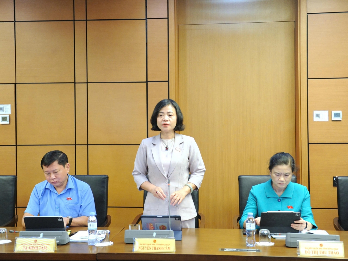 Đại biểu Nguyễn Thanh Cầm phát biểu tại tổ