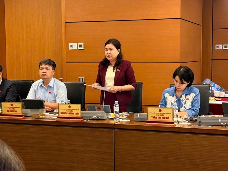 Đại biểu Nguyễn Phương Thuỷ phát biểu tại phiên thảo luận tổ 