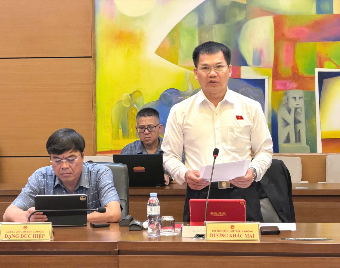 Đại biểu Dương Khắc Mai - Phó Trưởng đoàn chuyên trách Đoàn ĐBQH tỉnh Lâm Đồng