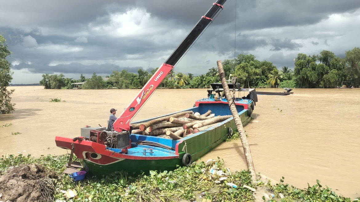 Vàm Thơm đang được xây cống ngăn mặn, trữ ngọt  phục vụ nguồn nước cho sinh hoạt và sản xuất của hàng chục nghìn hộ dân tại Vĩnh Long.