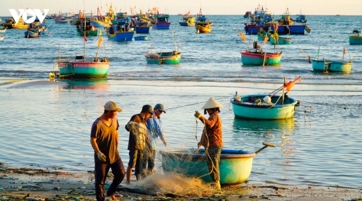 Người dân lao động tại làng chài Mũi Né (phường Mũi Né, tỉnh Lâm Đồng)