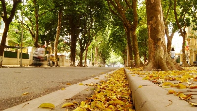 Tiết lập Thu 2026 bắt đầu vào ngày hôm nay (7/8), mở đầu mùa thu theo 24 tiết khí