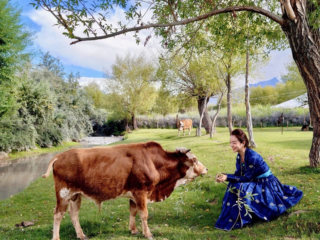 Jennifer Phạm cho biết cô vừa có chuyến hành hương kết hợp du lịch một tuần tại Ladakh, vùng đất nằm ở phía Bắc Ấn Độ, giữa hai dãy núi Karakoram và Himalaya. Ở độ cao trên 3.000 m so với mực nước biển, nơi đây có địa hình núi tuyết trập trùng, hoang mạc bao la.
