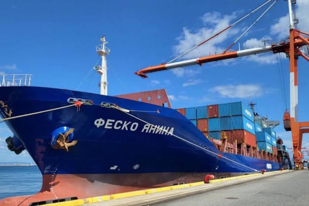 Tàu container Yanina neo đậu tại một cảng thương mại. Ảnh: FESCO