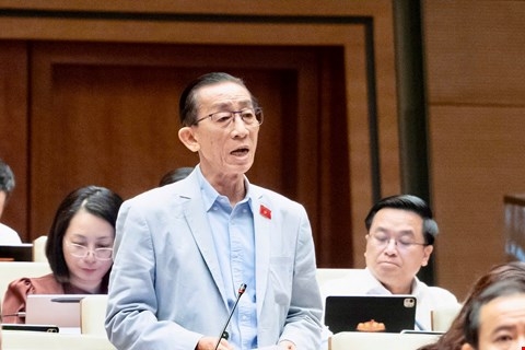 Đại biểu Trần Hoàng Ngân, đoàn ĐBQH Thành phố Hồ Chí Minh