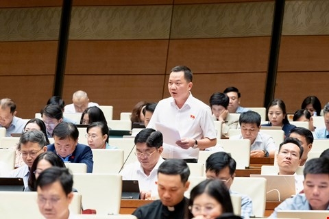 Đại biểuTrịnh Xuân An, đoàn ĐBQH tỉnh Đồng Nai