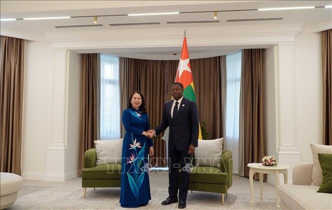 Phó Chủ tịch nước Võ Thị Ánh Xuân và Chủ tịch Hội đồng Bộ trưởng Togo. Ảnh: TTXVN