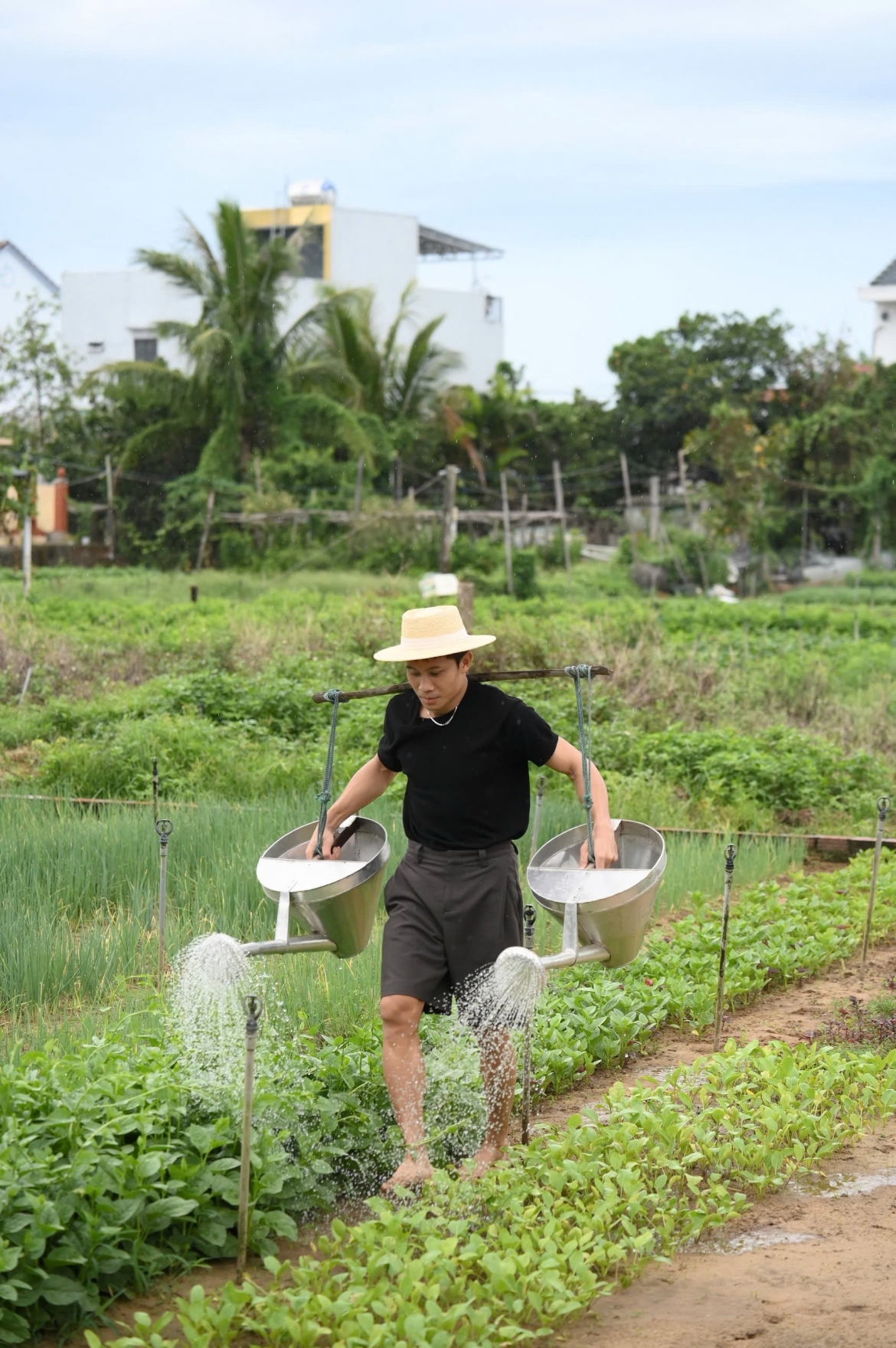 Phương Nam làm vườn.